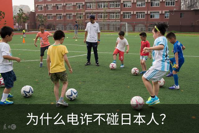 为什么电诈不碰日本人？