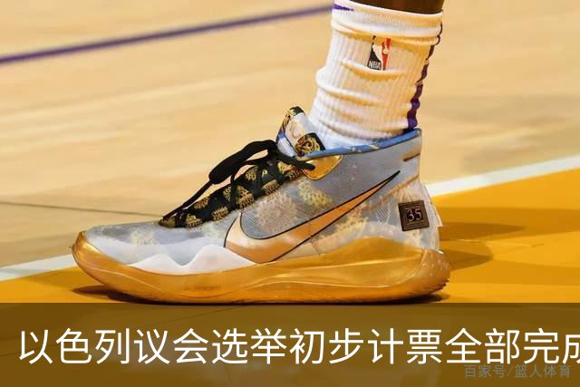 以色列议会选举初步计票全部完成 议会席位基本确定