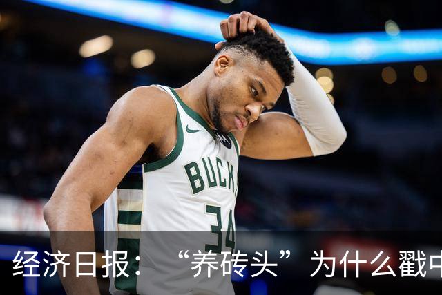 经济日报：“养砖头”为什么戳中年轻人？