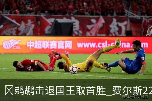 🏀鹈鹕击退国王取首胜 费尔斯22+8+13 锡安22+6 阿卡夫34+6+13